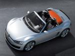Volkswagen BlueSport Concept 2009 года